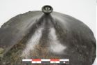 Foto von Bronzephalere (NHMW-PRAE-026056)